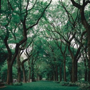 Envionmental Sustainability Policy (GPs) £27